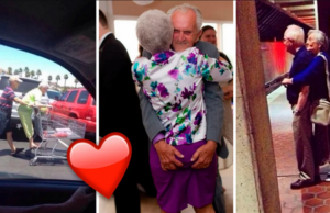 Las 20 Fotos que muestran que el amor no tiene límites, edad ni fecha de caducidad