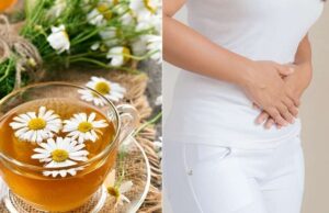 PDF con los Tips para bajar de peso