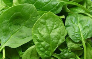 Los Beneficios que Contiene el Jugo de Piña y Espinacas.-