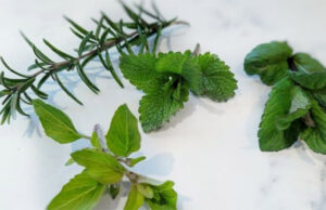 Hierbabuena con Romero es antiinflamatorio y analgésica, alivia el dolor