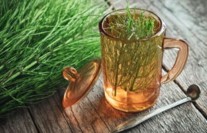 Cola de caballo: qué es y para qué sirve, beneficios, remedios y cómo prepararlos