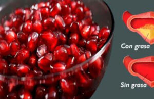 Semillas son la cura para que las arterias se destapen de toda la grasa acumulada