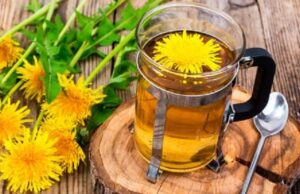 Diente de león, cuándo y cómo tomarlo