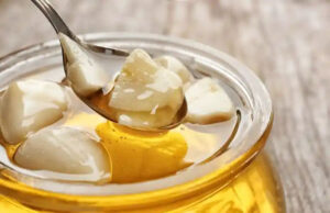 Mezcla vinagre ajo y miel y descubre su función para tu salud