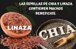 Las Semilla de Chía, Linaza Poseen Muchos Beneficios