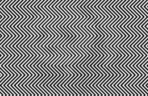 Estudios dicen que sólo el 1% de las personas pueden encontrar el animal en esta foto. ¿Eres una de ellas?