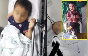 Falleció un niño por la picadura de un peligroso animal