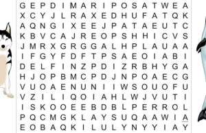 El primer animal que veas mostrará qué clase de persona eres