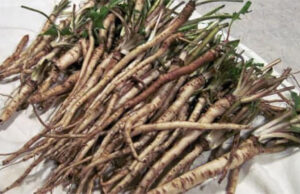 Lo tenían muy callado, pero alguien se armó de valor lo publicó y es maravilloso