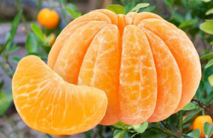 Beneficios de comer mandarina en ayunas