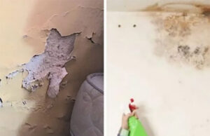 Cómo quitar la humedad de las paredes para que nunca vuelva