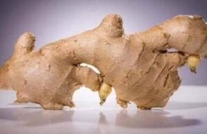 Hallé el modo correcto de preparar el agua de jengibre para adelgazar mi cintura y secar mi panza