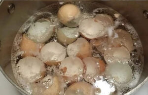 Hervir cáscara de huevo en una olla te ahorrará