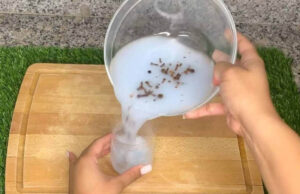 Con este truco, no te pica ni un mosquito y adiós insectos la casa huele constantemente