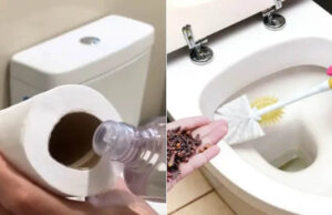 Eliminar el olor a orina del baño y dejar un buen aroma: 6 consejos infalibles