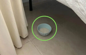 Poner sal debajo de la cama soluciona un problema que muchos tenemos en casa