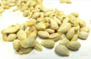 Con estas semillas podrás aliviar el dolor de cabeza