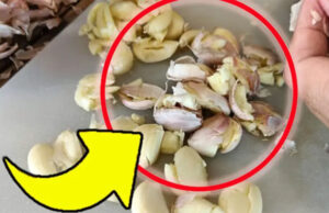 Cáscaras de ajo, no las tires: son muy valiosas | Ponlos en un frasco y úsalos así