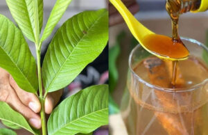 Infusión de la abuela canela y hojas de guayaba