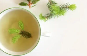 Bebe tu árbol de Navidad: formas creativas de reutilizar tu árbol de hoja perenne navideño