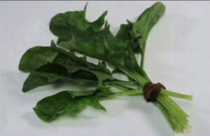 Fascinante, anota la receta porque esto mejora: diabetes, páncreas, hígado, colesterol, quema grasa y más