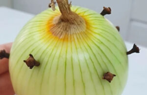 Mi abuela siempre pone un clavo en la cebolla: me sorprendí cuando me enteré de por qué