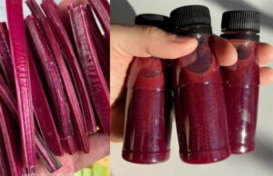 El mejor colágeno Preparación Aquí!