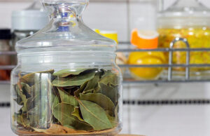 Es por eso que pongo laurel en el baño: ¡nuestras abuelas ya lo sabían!