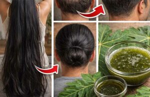 Jugo de Hoja de Papaya para el Crecimiento del Cabello: Receta Natural y Efectiva